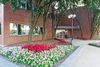 11500 Olive Blvd photo